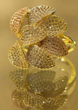Gem studded Ring